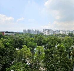 Blk 532 Pasir Ris Drive 1 (Pasir Ris), HDB Executive #545767321